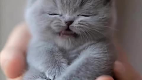 Beautiful video