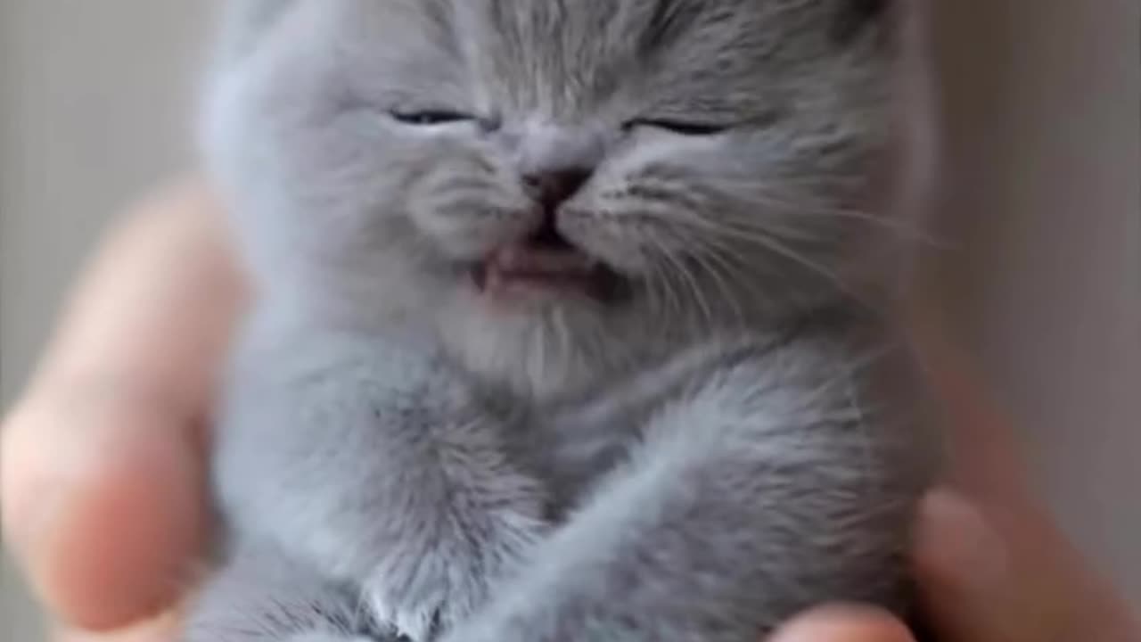 Beautiful video
