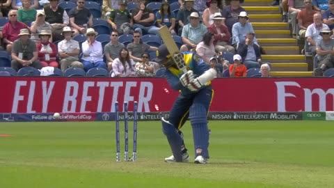 Catches