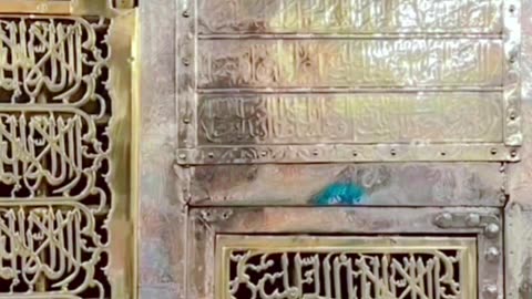 har Jaga nabi e Pak k sath hy #madeena #newviralvideo #dawteislami🕌 #tranding #hajiabdulhabibattari
