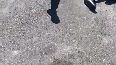 😡👊 Kid Gets His Ass Whooped After Disrespecting My Homie Peg Leg! | FCN