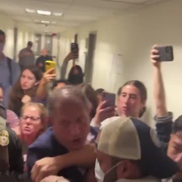 Brad Lander Arrested by ICE—Political Stunt or Crime?