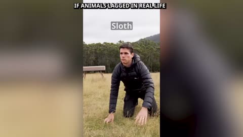 You Laugh You Lose
