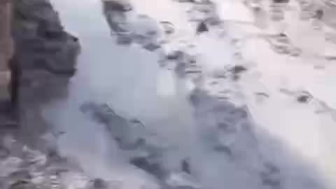 Russian Soldiers Drive Into a Swamp