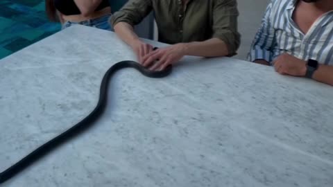 This Magician is from another World!