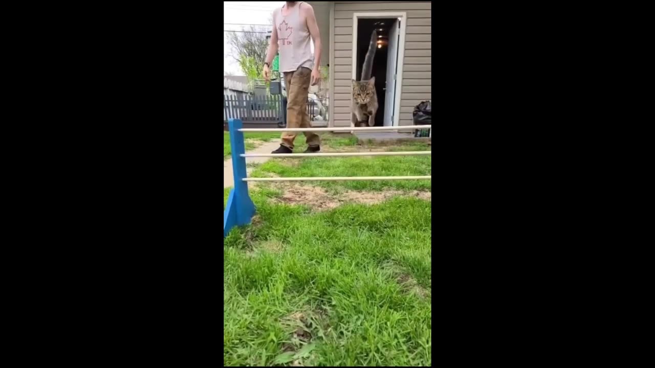 Caught in the Act: Naughty but Adorable!"