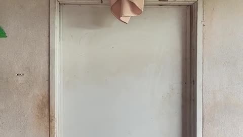 So funny video comedy