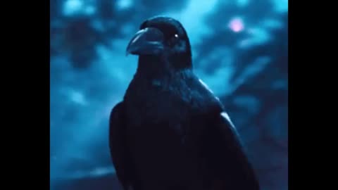 Max Igan: What is Fucking Real in This World? .....