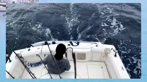 SoCal Weekend Fish Report with Captain Dave! #807