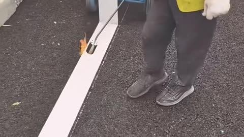 🤯🔧 Watch This Machine In Action! | FeedMyCuriosity