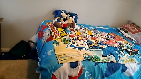 I'm showing you guys my Sonic plush collection and I live in a group home