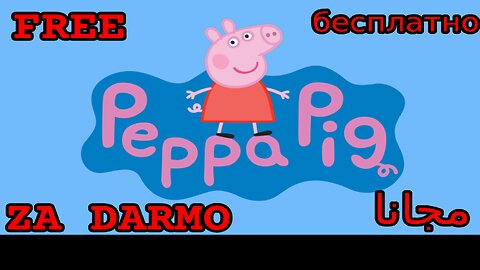 pig.mp4