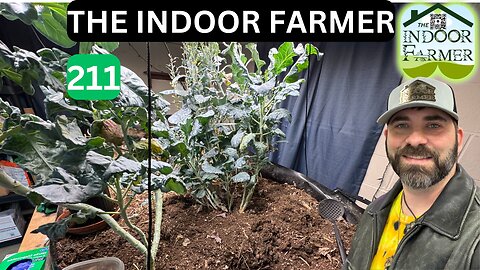 The Indoor Farmer ep 211, Mini Fruit tree Germination & Starting Some Other Plants, Let's Grow!