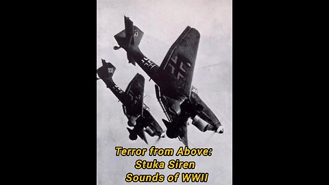 Stuka Dive Bomber – Hitler’s Screaming Eagle of Terror