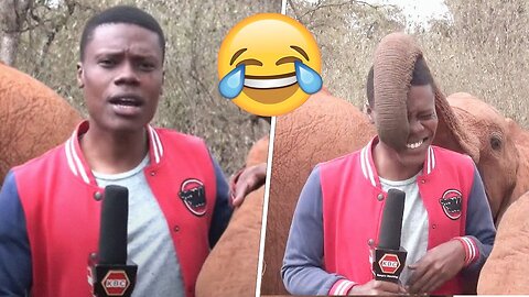 Best funny videos 🤣😁😅 Collection of funny fails