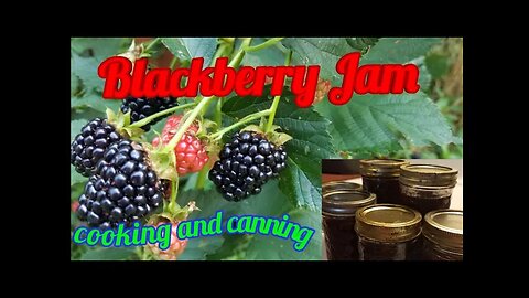 Blackberry Jam cook and canning
