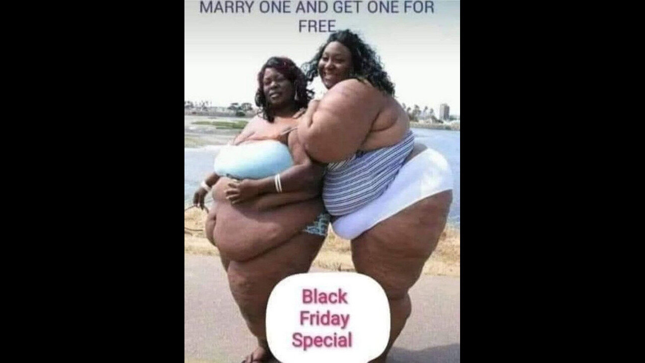 A Funny Edit @WhiteUnity Made About Fat Ugly Welfare Niggers