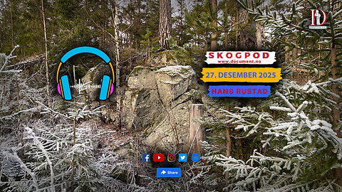 Skogpod 27. desember 2025