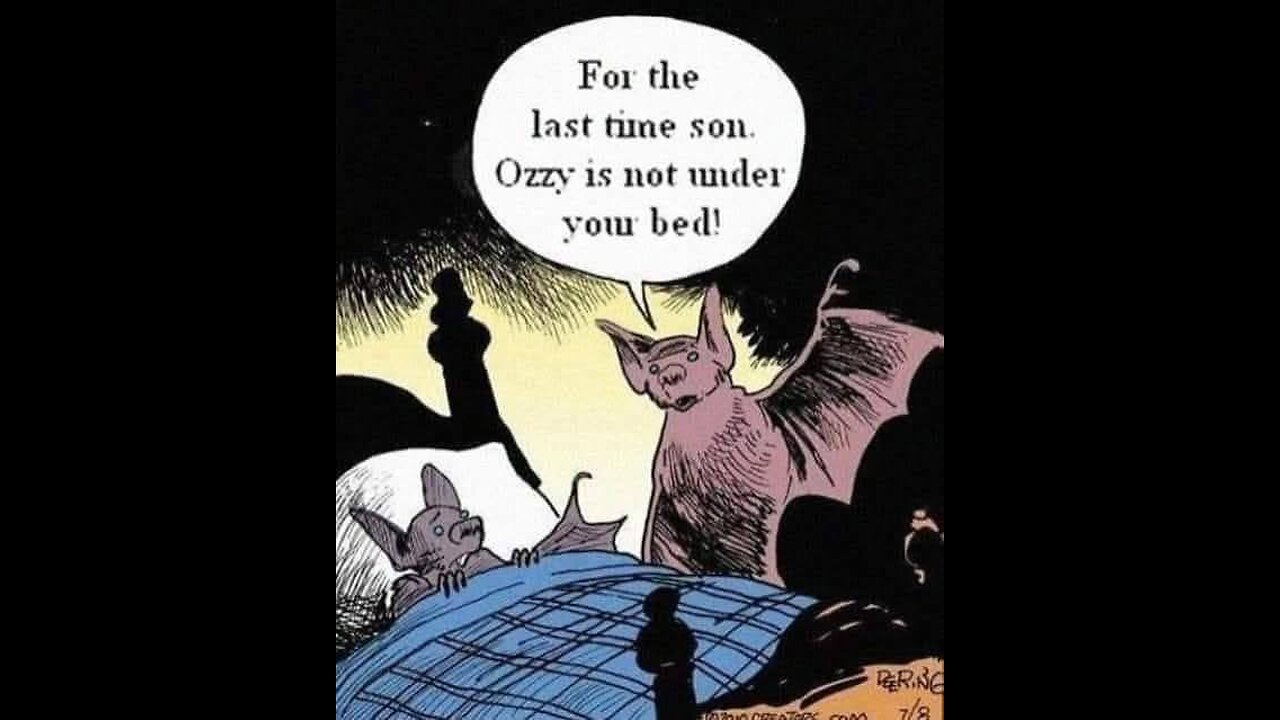 Been through the bewitching hour