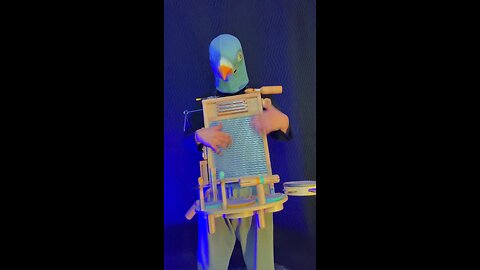 Pigeon rhythm section