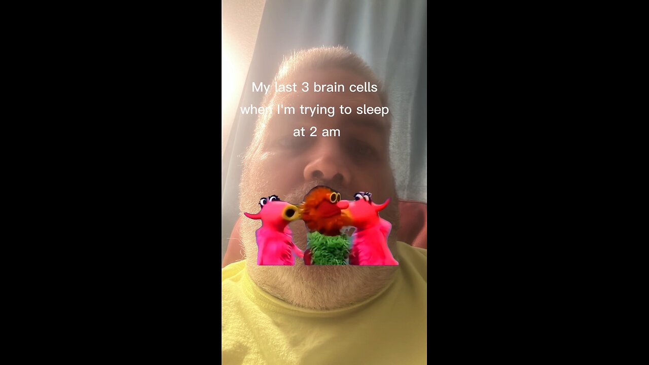 My Brain