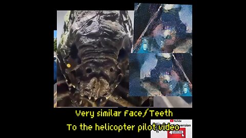 Reptilian Body found in the Black Sea, Translated from Russian