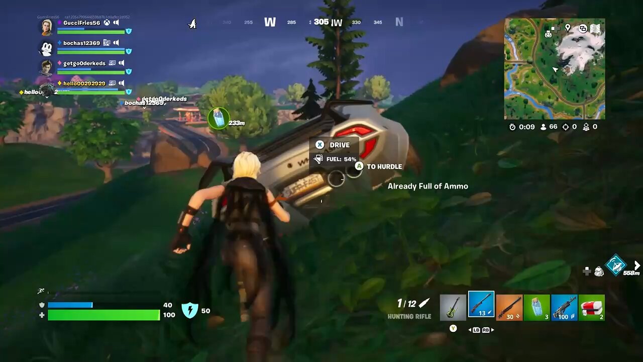 Fortnite sometimes equals CHAOS