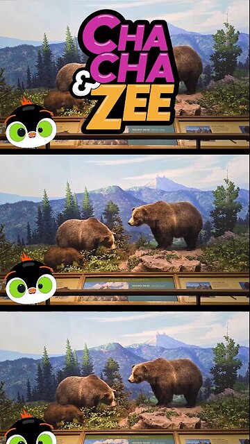 Watch Cute Penguins Explore Colorado's BIGGEST Nature & Science Museum!