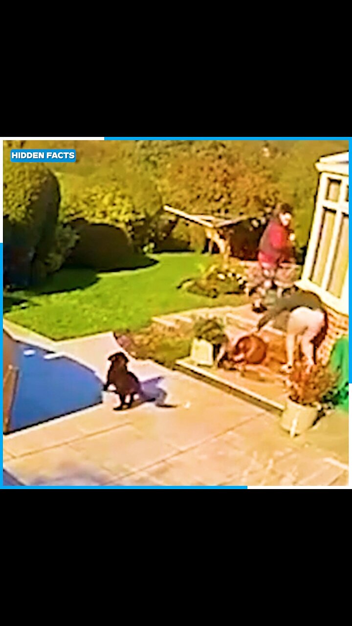 🤣 Ultimate Epic Fails Compilation 2025! Idiot Peoples Funniest Moments Caught on Camera! 😂 #Viral