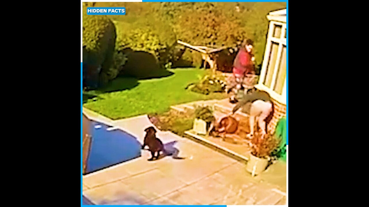 🤣 Ultimate Epic Fails Compilation 2025! Idiot People's Funniest Moments Caught on Camera! 😂 #Viral