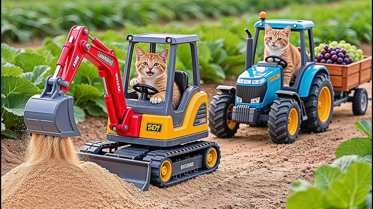 Kitten Helps Mama Cat Fix Broken Road While Harvest Grape at Farm 🐾🐱🍇👷‍ | Heartwarming Story