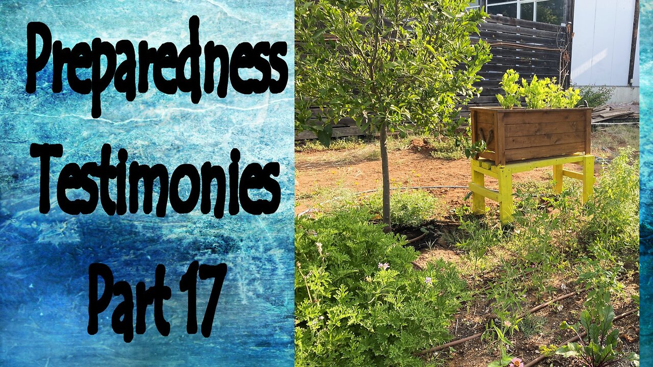 Preparedness Testimonies #17
