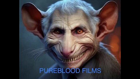 THE DRUGS I NEED - PUREBLOOD FILMS