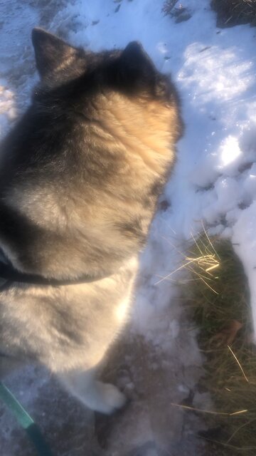 Tuesday December 23, A child is born to us.