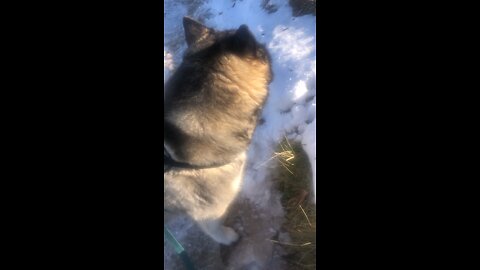 Tuesday December 23, A child is born to us.