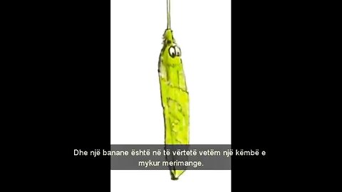 Dr Hovind Sem1 - "Mosha e Tokës" - SQ Shqiptar