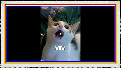 ALIENS - GRAPHITE - ANTIGRAVITY - LONGEVITY - WT LOSS