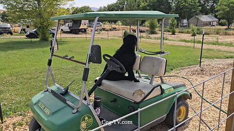 Graham Family Farm: 12:00 PM June 16 2025