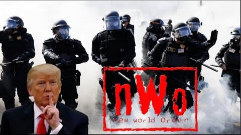 WELCOME TO TRUMP'S NEW WORLD ORDER! CURFEWS, DRONE SURVEILLANCE, MARTIAL LAW, & UNLAWFUL ARRESTS!