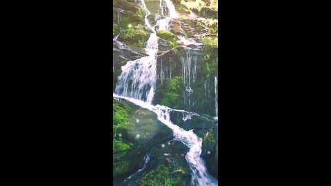Nature Waterfall