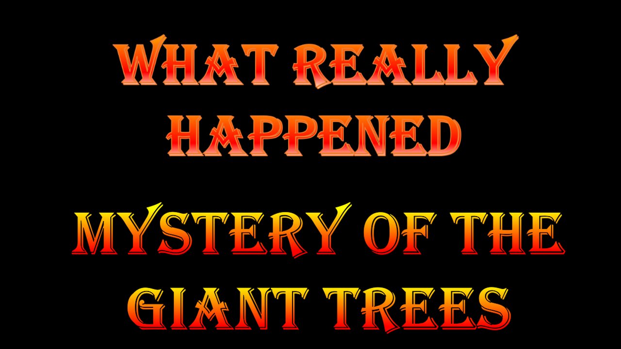 Mystery of the Giant Trees - What Really Happened