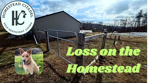 #33 Homestead Work Heals the Pain