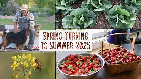 Spring Turning to Summer Around Our Little Mountain Homestead - Storms, Growing Plants, Baby Things