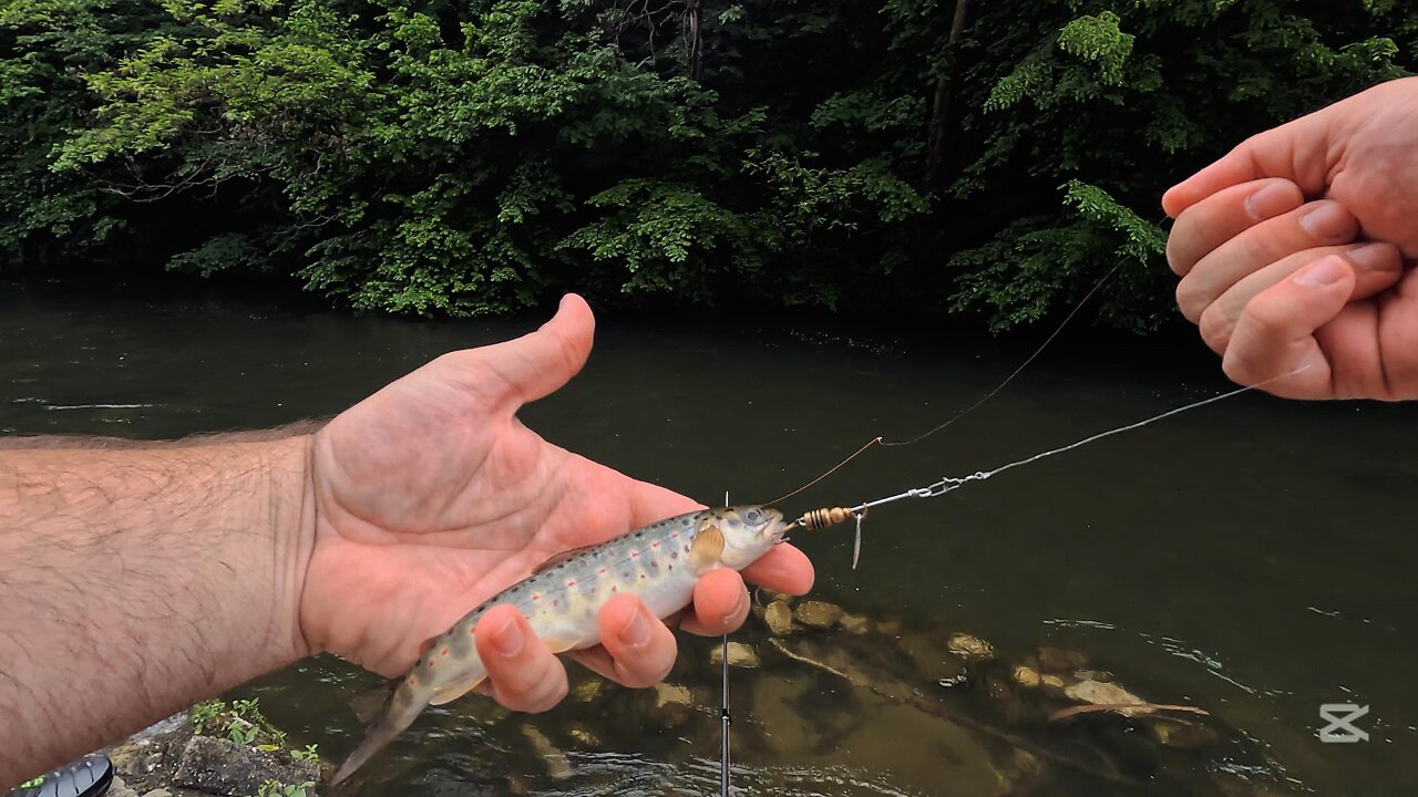 🐟 Only One Trout… But It Was Worth It! First Wild Catch in Hercules Town 🎣