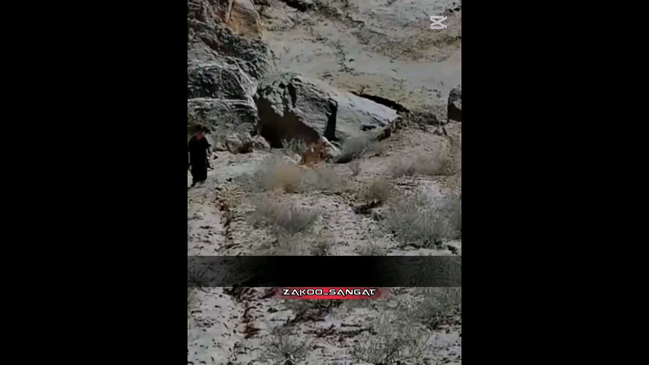 this is my third video subscribe my rumble account