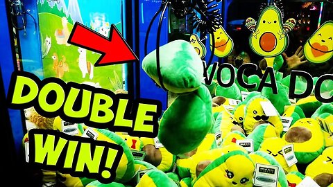 Claw Machine Win Will Leave You Speechless!