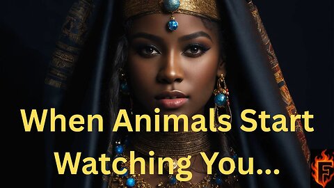 Animals and Spiritual Awakening... When the Earth Speaks Back