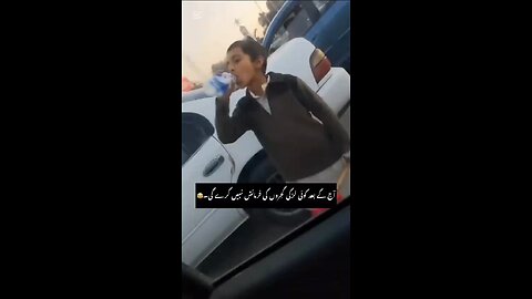 funny videos