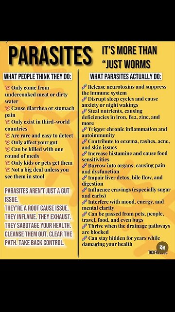 Have you ever wondered if nature offers a secret weapon against common health issues?