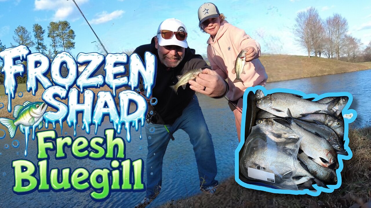 Frozen bait vs Fresh bait fishing for blue cats on the Potomac River
